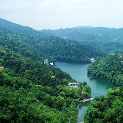 崇义县林业投资有限责任公司